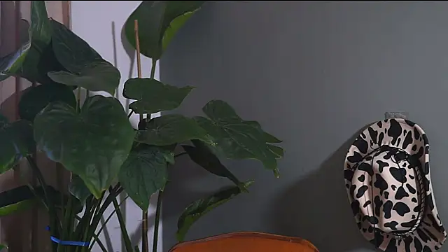 HairyRobxxx online show from 20, 9, 2025