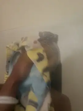 Looking4Jerries online show from 31, 12, 2024