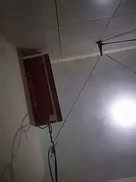 acuarela online show from 30, 1, 2025