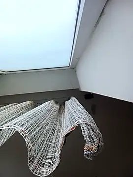 Lauren Amabel online show from 9, 1, 2026