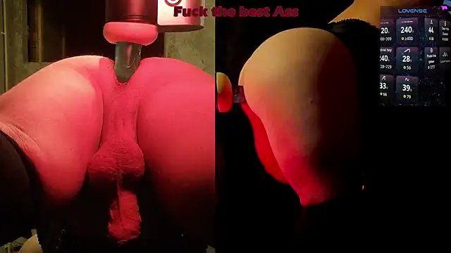 littledreamstar online show from 29, 7, 2026