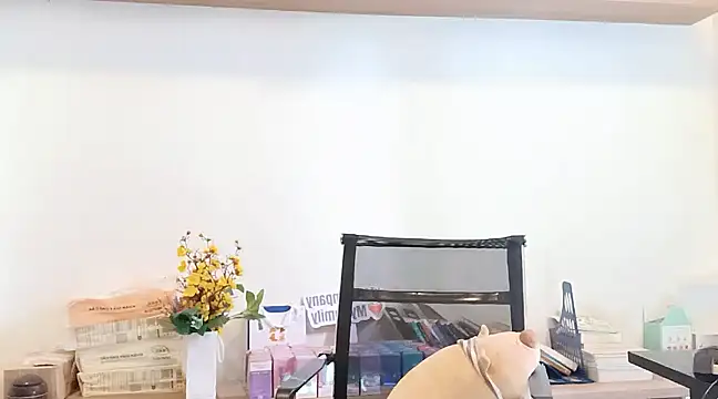 Snapshot of Lush-Office chatting on 12, 3, 2025 Lush-Office online show from 12, 3, 2025