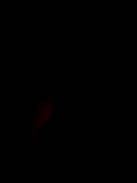 xxxxGuruxxxx online show from 10, 3, 2025