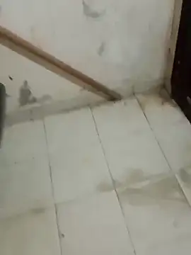 Jinenez online show from 26, 2, 2025