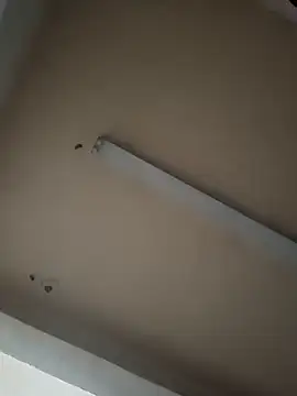 Snapshot of boyvergon chatting on 17, 1, 2025 boyvergon online show from 17, 1, 2025