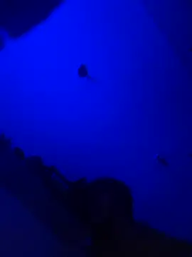 Raziv komal143 online show from 25, 2, 2025