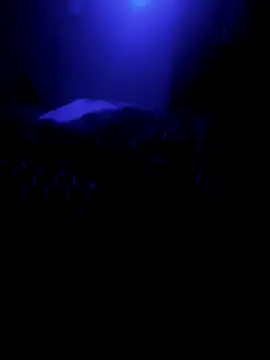 Raziv komal143 online show from 26, 2, 2025