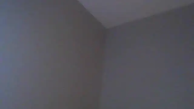 geld 88 online show from 12, 3, 2025