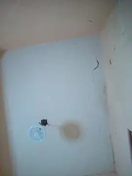 LuisMex1998 online show from 14, 11, 2025