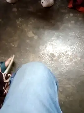 Raj41 online show from 18, 12, 2025