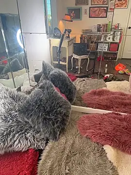 I am babydoll online show from 4, 3, 2026