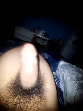 paitaxxx online show from 19, 2, 2026