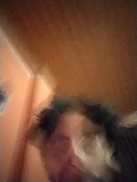 Nooneisthis online show from 2, 2, 2025