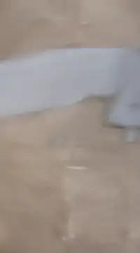 Snapshot of laxmitelugu78 chatting on 2, 2, 2025 laxmitelugu78 online show from 2, 2, 2025