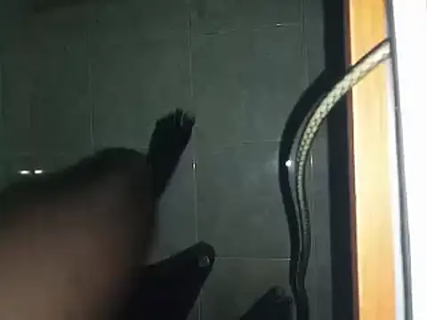 world bigdick1 online show from 2, 3, 2025