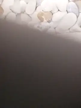 Snapshot of Playboy_bhabhi_00 chatting on 20, 2, 2025 Playboy bhabhi 00 online show from 20, 2, 2025