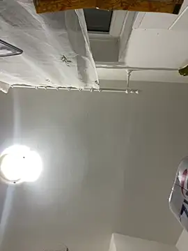 bunnythetailor online show from 24, 2, 2026