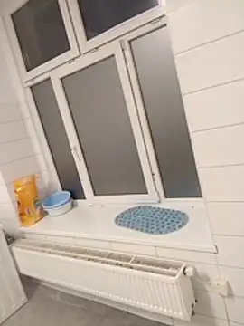 Adrianka online show from 12, 11, 2025