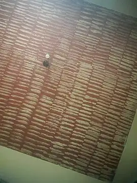 DOMINADOR5 online show from 9, 2, 2025