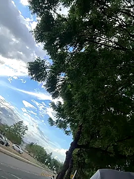 arevalo1124 online show from 26, 11, 2025