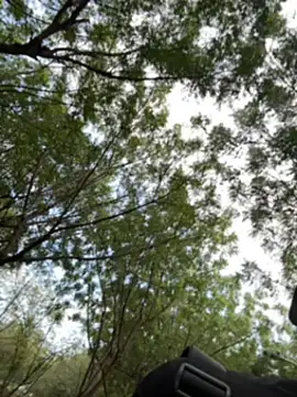 arevalo1124 online show from 2, 12, 2025