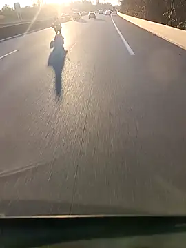 Dam70 online show from 4, 12, 2025