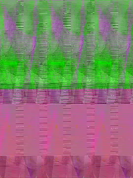 Snapshot of Sumann99 chatting on 16, 2, 2025 Sumann99 online show from 16, 2, 2025