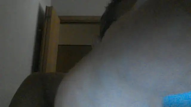 Snapshot of eccomi6996 chatting on 25, 6, 2026 eccomi6996 online show from 25, 6, 2026