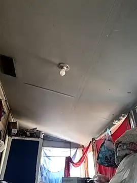 birdg online show from 14, 9, 2025