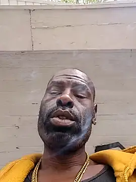 birdg online show from 23, 9, 2025