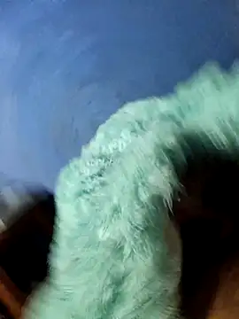 Caing23 online show from 27, 2, 2026