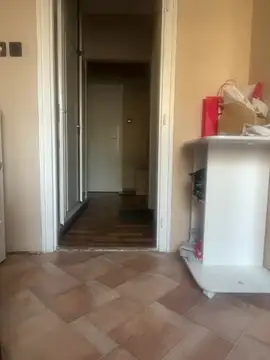 Budibudi5 online show from 7, 11, 2025