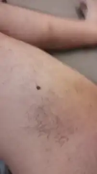 Bigdick420anal online show from 7, 2, 2026