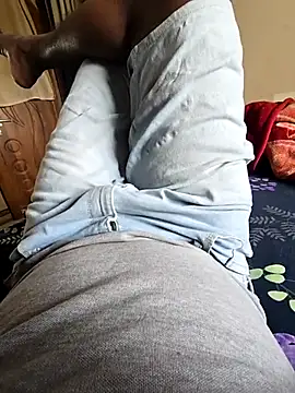 wildfun  online show from 19, 11, 2025