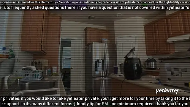 Snapshot of yetieater chatting on 11, 1, 2025 yetieater online show from 11, 1, 2025