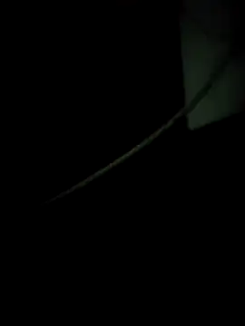 enoc369 online show from 4, 12, 2025