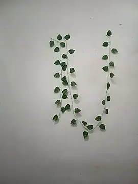 Neha-Bhabhi-Rasily online show from 6, 3, 2026