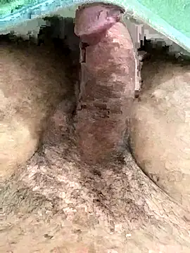 Iliase online show from 15, 11, 2025