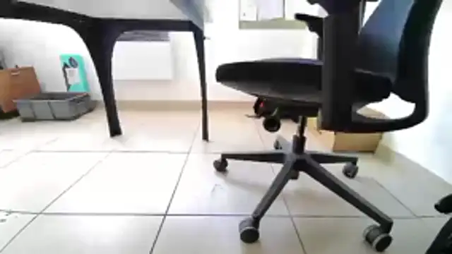 GM51-1988 online show from 20, 4, 2026