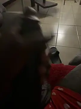 Snapshot of Goodball88 chatting on 28, 2, 2026 Goodball88 online show from 28, 2, 2026