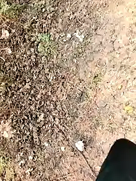 himvilohi08 online show from 7, 1, 2026