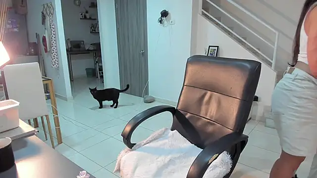 FireTheGun  online show from 6, 3, 2026