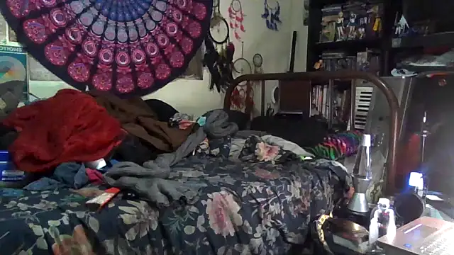 GardeniaFields online show from 17, 12, 2025