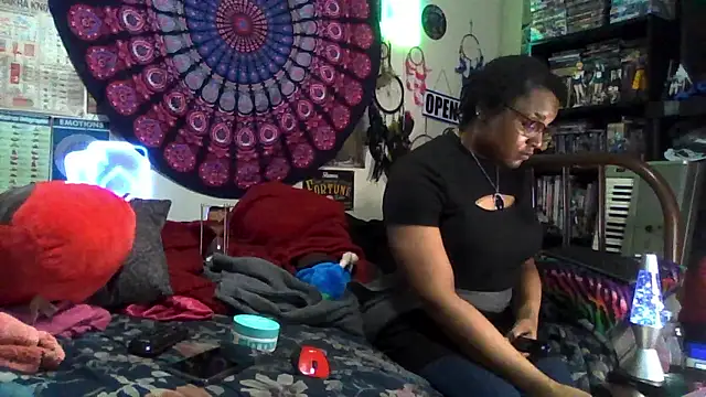 GardeniaFields online show from 8, 1, 2026