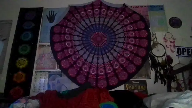 GardeniaFields online show from 2, 3, 2026