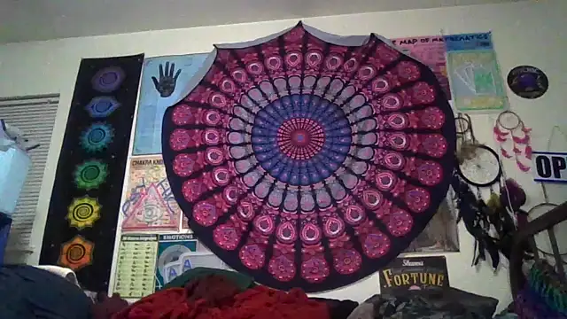 GardeniaFields online show from 20, 3, 2026