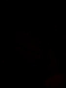 Ricopalote22 online show from 21, 9, 2025