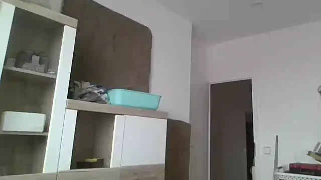 Snapshot of ThePython666 chatting on 24, 11, 2025 ThePython666 online show from 24, 11, 2025