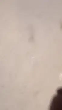 Nick-Ox online show from 13, 3, 2026