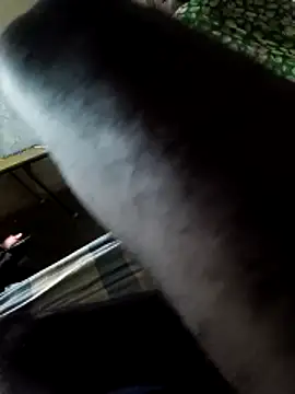 PolarFriend0 online show from 14, 2, 2026